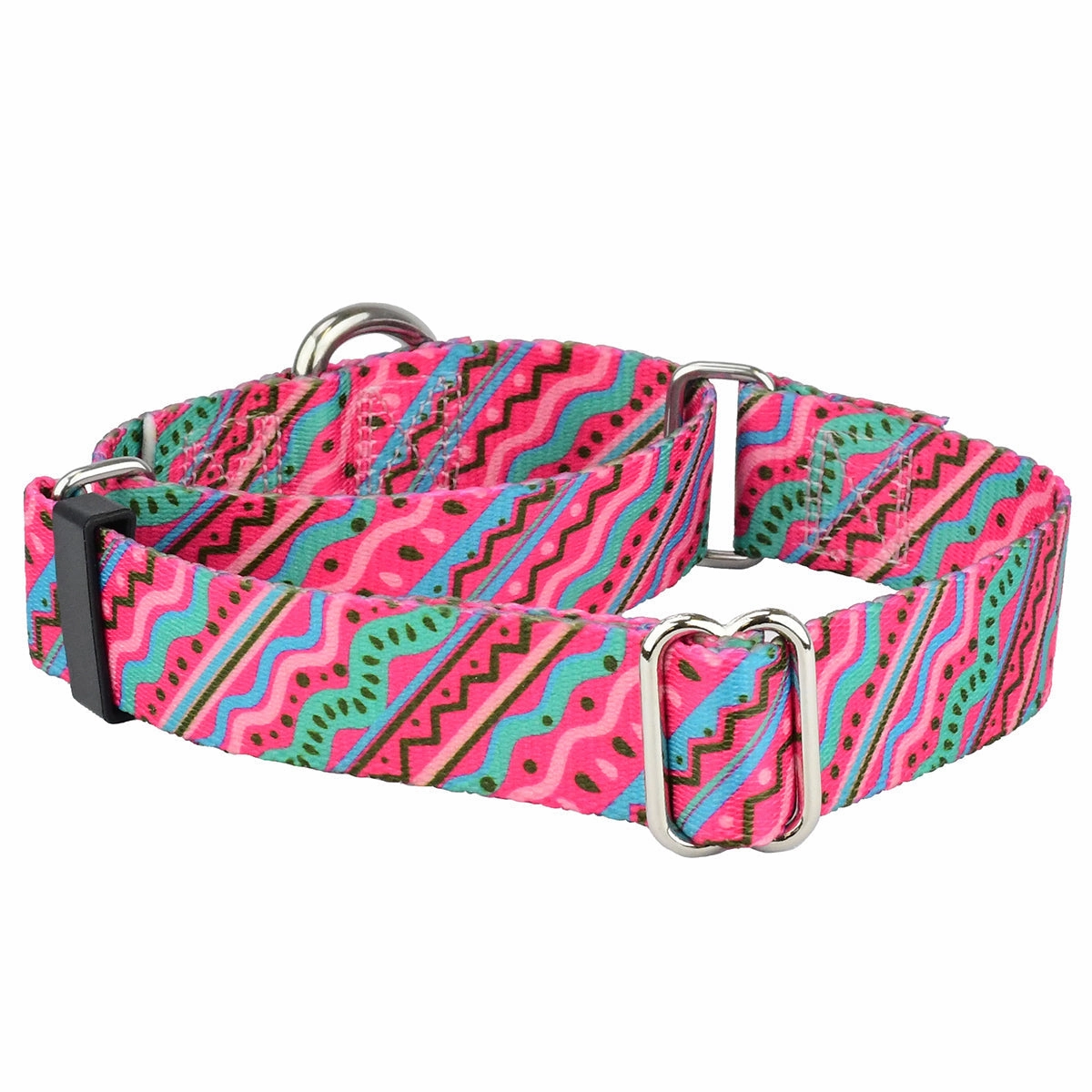 1980's EarthStyle Dog Collar