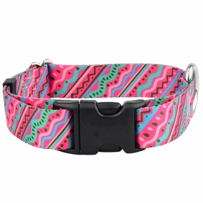 1980's EarthStyle Dog Collar