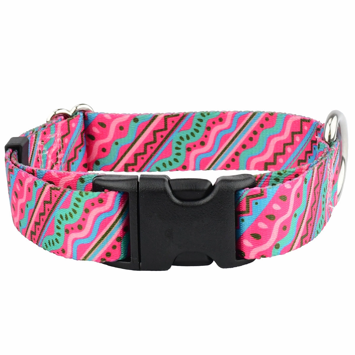 1980's EarthStyle Dog Collar