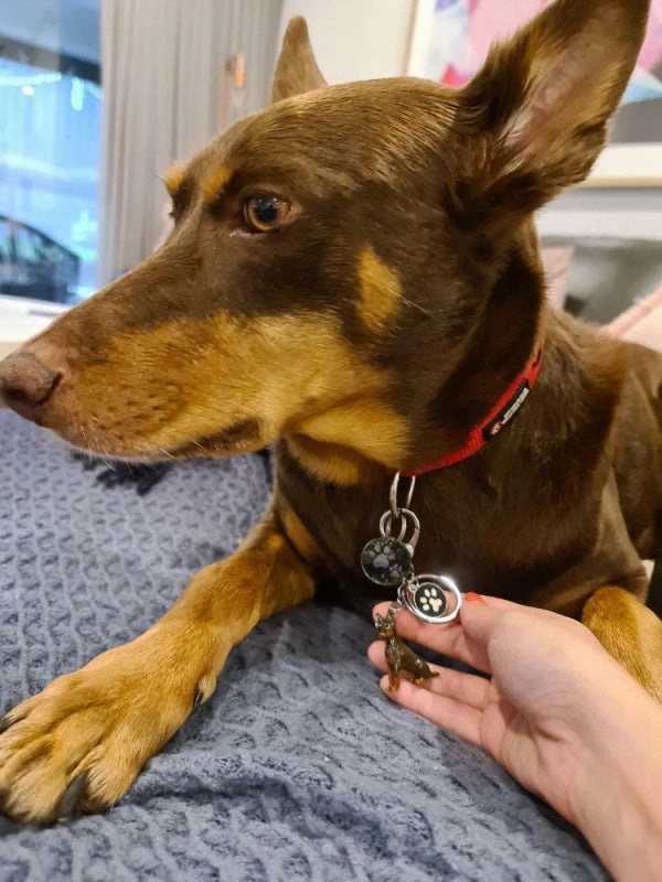 3D Kelpie Key Ring