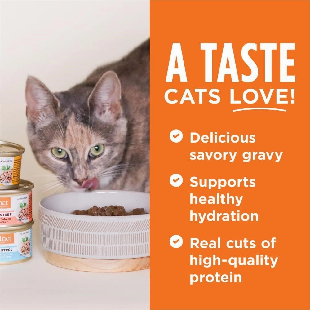 All Life Stages Grain-Free Flaked Duck Entree Cat Can