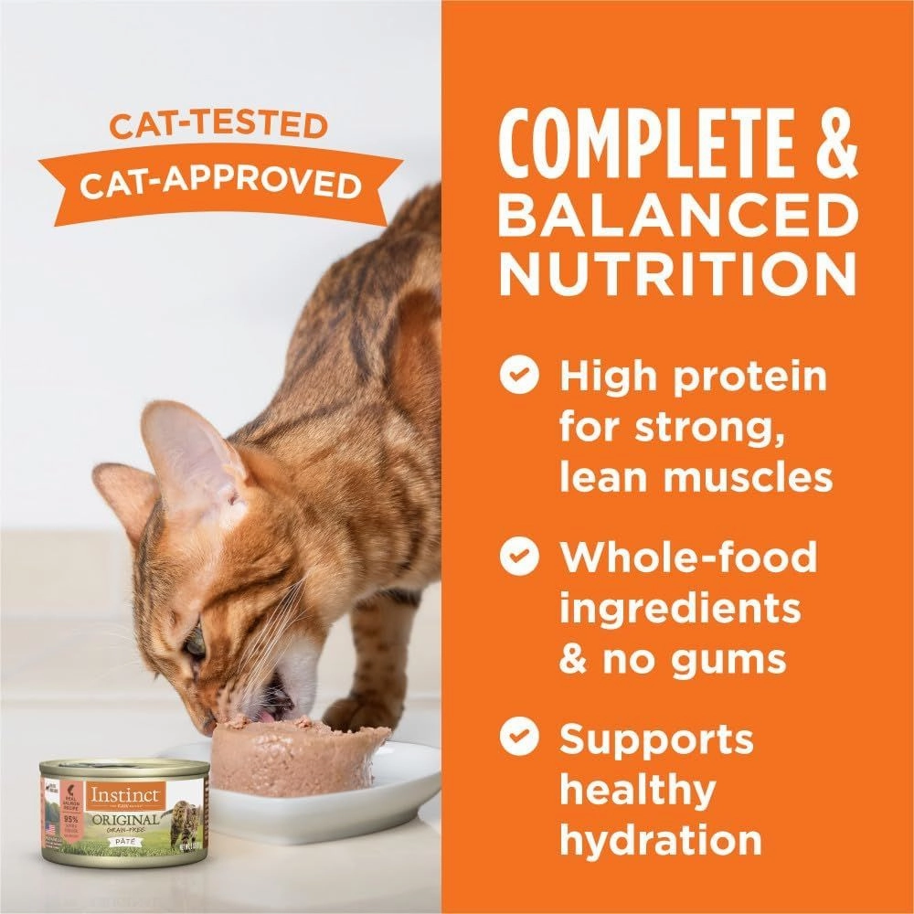 All Life Stages Original Grain Free Salmon & Pork Liver Cat Can