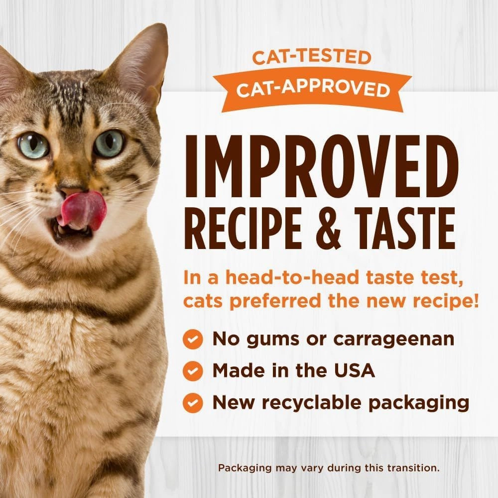 All Life Stages Original Grain Free Salmon & Pork Liver Cat Can