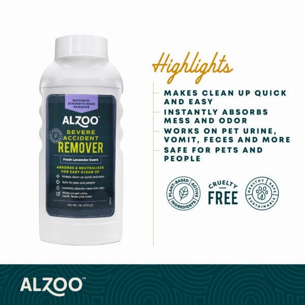 ALZOO Mineral-Based Severe Accident Remover