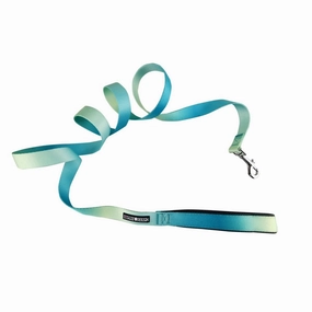 American River Ombre Dog Leash Aruba Blue