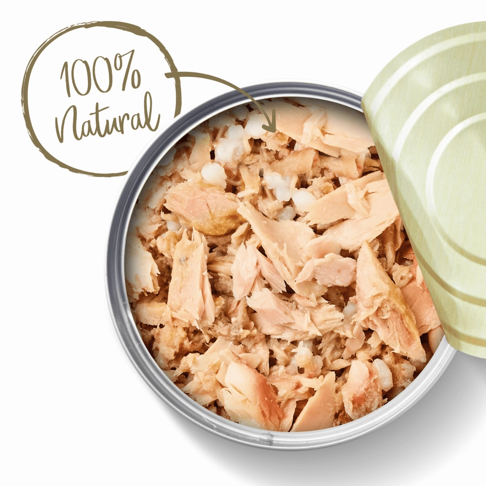 Applaws Ocean Fish Tinned Cat Wet Food