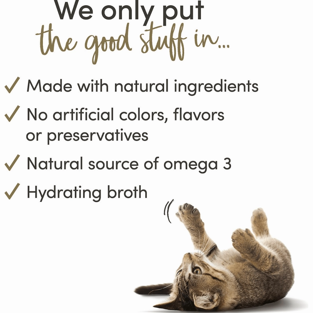 Applaws Tuna Fillet and Prawns Tinned Cat Wet Food (70g)