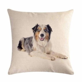 Australian Shepherd Merle Throw Cushion