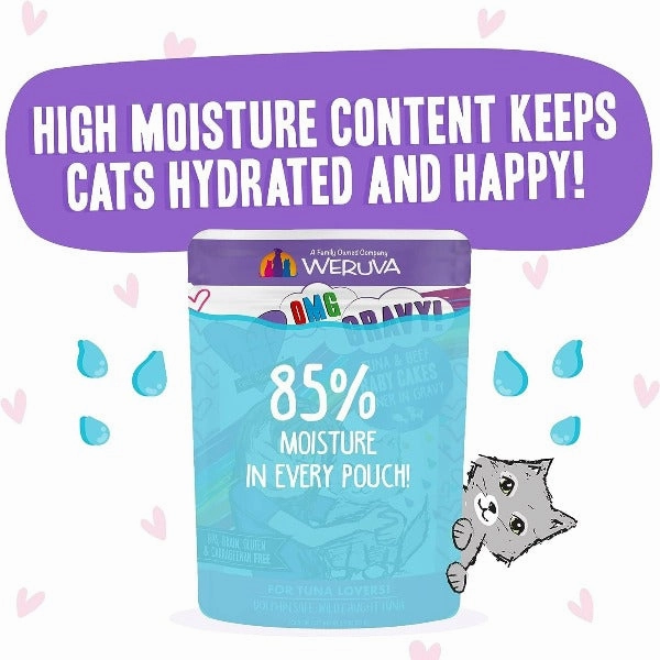B.F.F. Baby Cakes Tuna & Beef Dinner in Gravy Pouch Cat Food