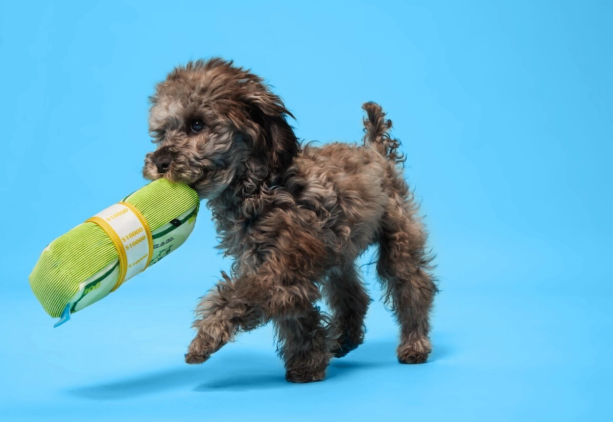 BARK Doggo Doggo Bills, Yall Dog Toy