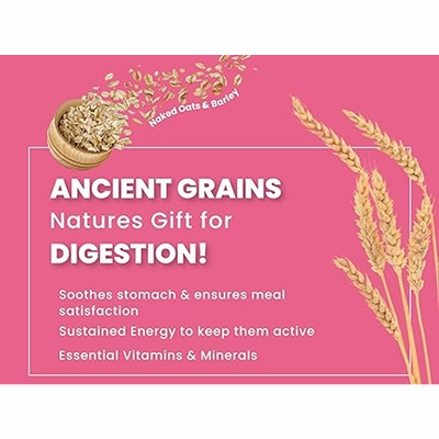 Bark Out Loud Chicken & Ancient Grains Adult Dog Dry Food