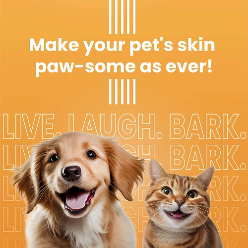 Bark Out Loud Glow and Shine Turmeric Chew Stix for Dogs and Cats