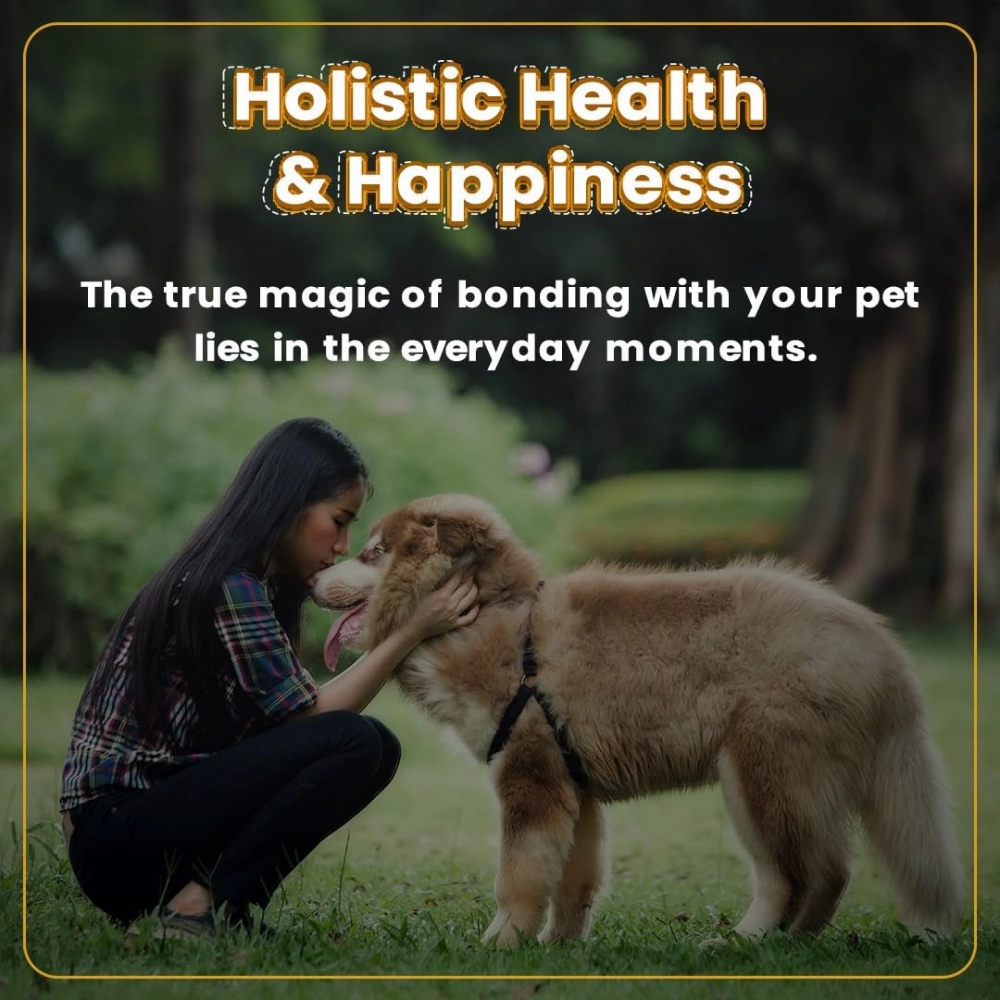 Bark Out Loud Immunity Multi Vitamin Chew Stix and Henlo Chicken Pops Dog Treats Combo