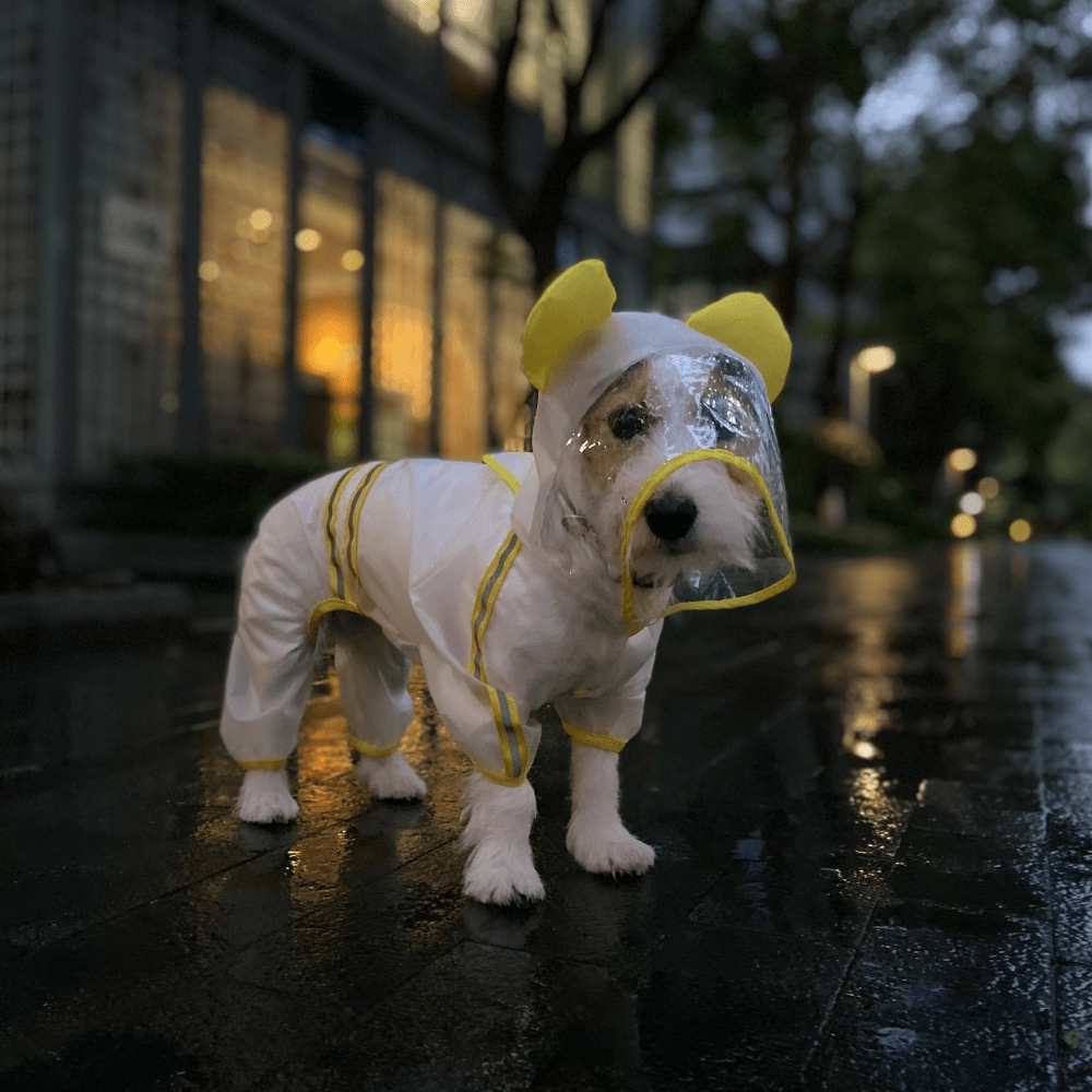Barkbutler x Fofos Four Leg Yellow Raincoat for Dogs (Button Up Style)