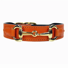 Belmont Collection Dog Collar Tangerine/Gold