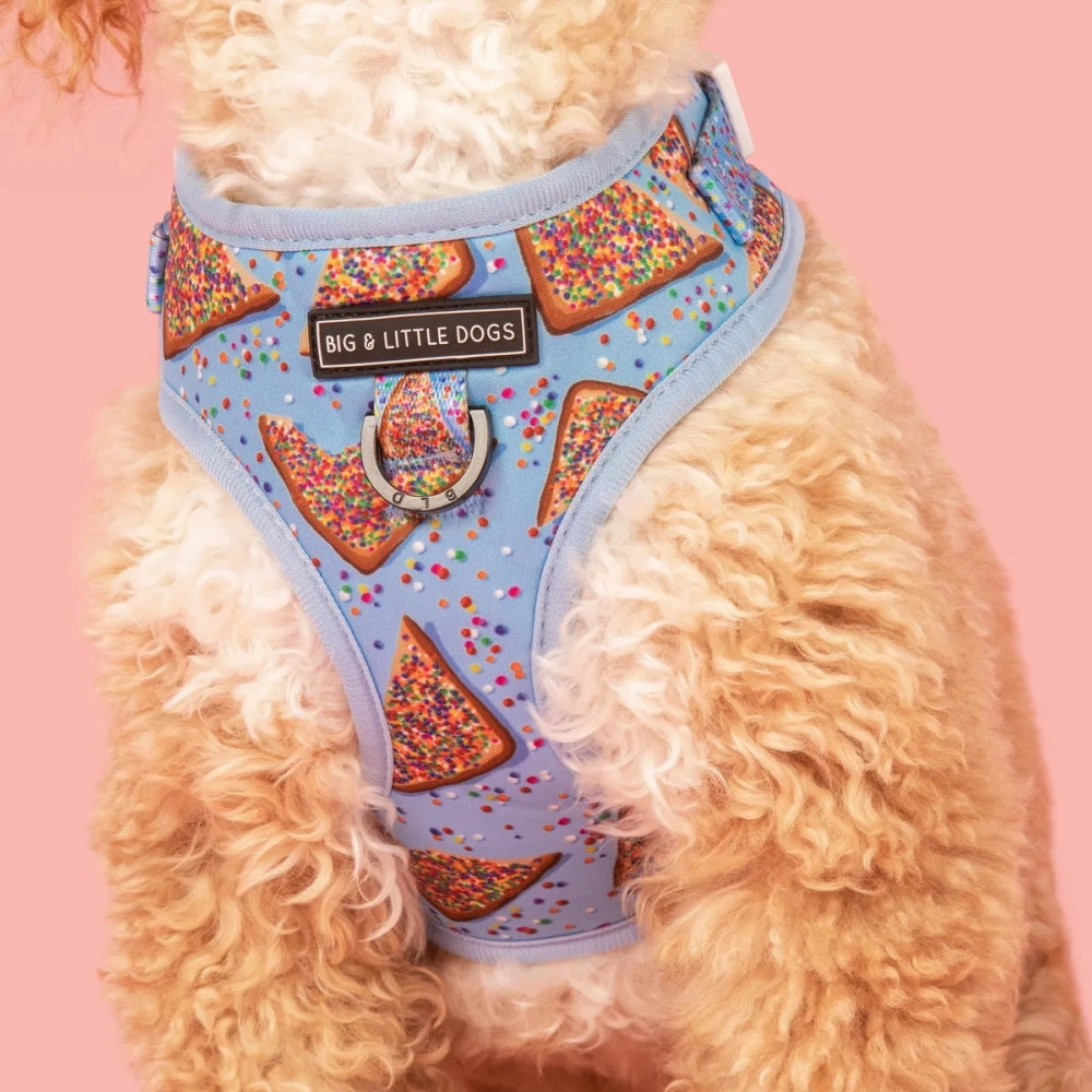 Big & Little Dogs Blue Fairy Bread Adjustable Harness