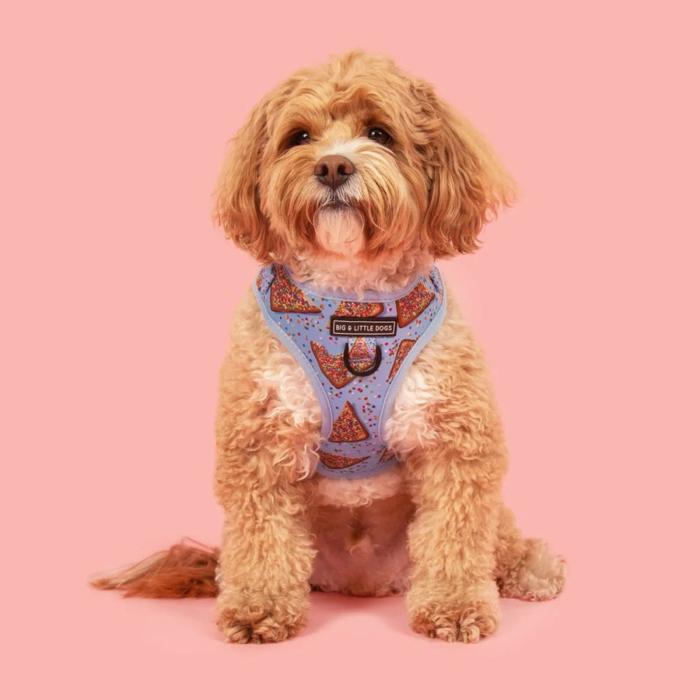 Big & Little Dogs Blue Fairy Bread Adjustable Harness