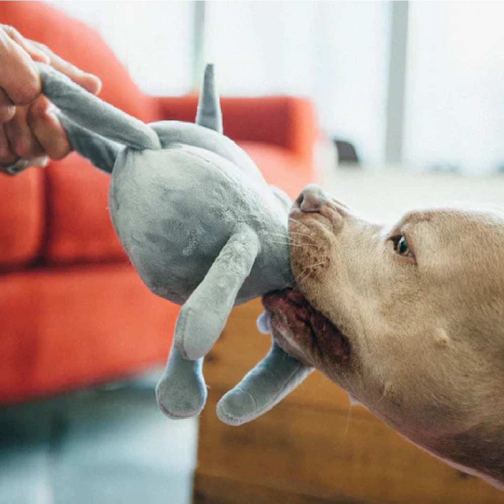 Big Five of Africa - Elephant Dog Plush Toy