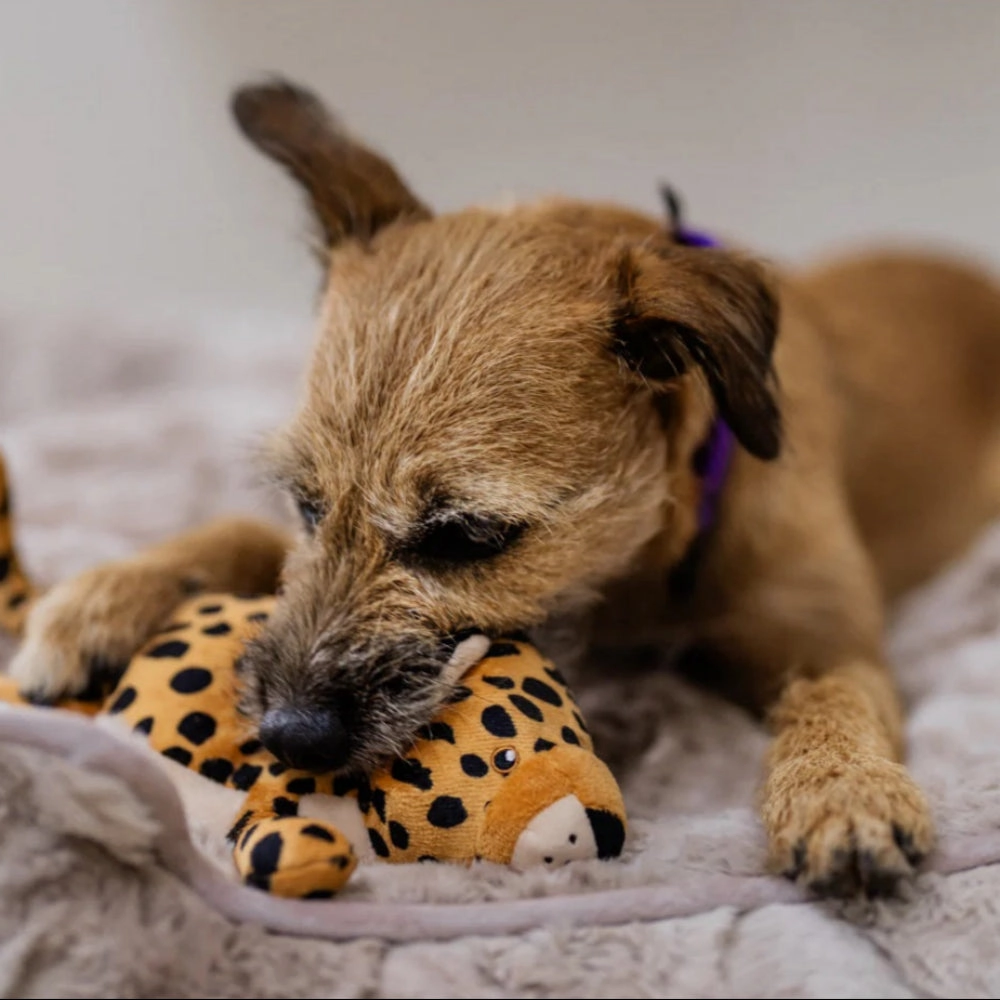 Big Five of Africa - Leopard Dog Plush Toy