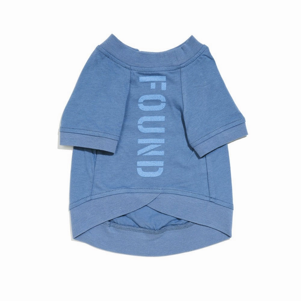 Big Full Heart Dog Tee Slate Blue/Sky