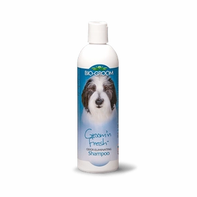 Bio-Groom Groom 'n Fresh Odor Eliminating Shampoo for Dogs 12oz