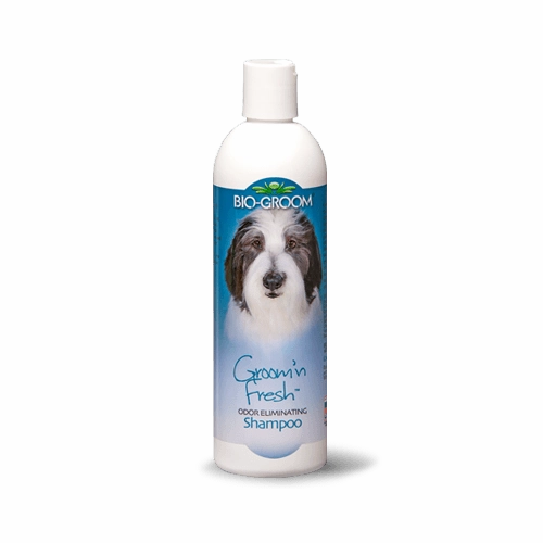 Bio-Groom Groom 'n Fresh Odor Eliminating Shampoo for Dogs 12oz