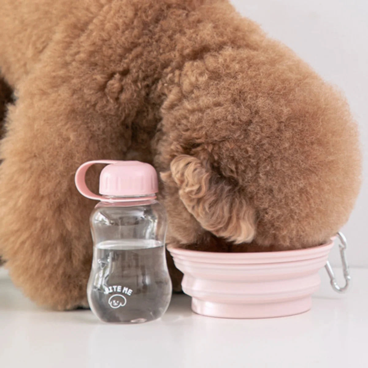 Bite Me - Baby Water Bottle