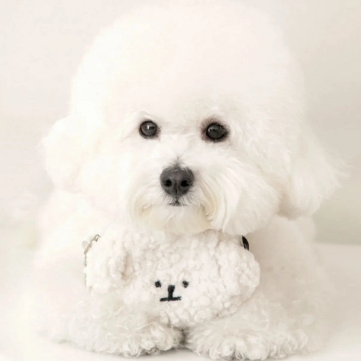 Bite Me - Bichon Poop Bag Pouch