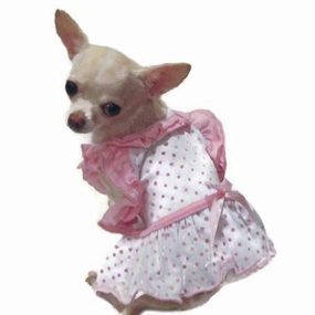 Bitty Baby Ruffle Dog Dress