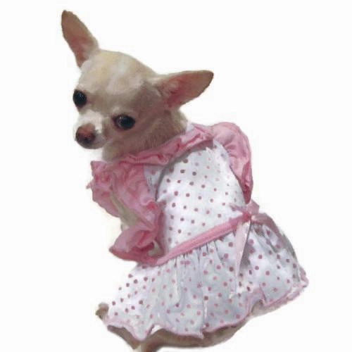 Bitty Baby Ruffle Dog Dress