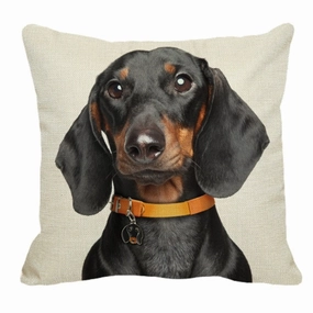 Black and Tan Dachshund Face Throw Cushion