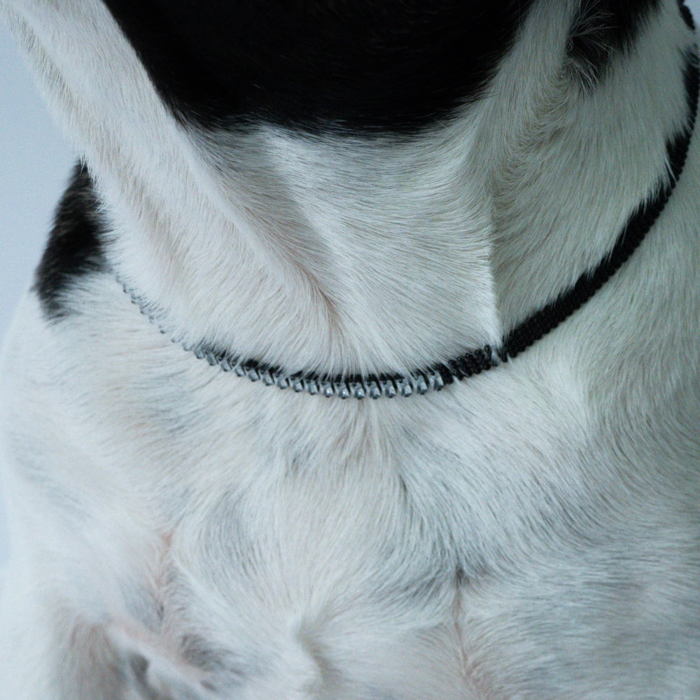 Black Diamante Dog Necklace
