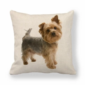 Blue & Gold Yorkshire Terrier Throw Cushion