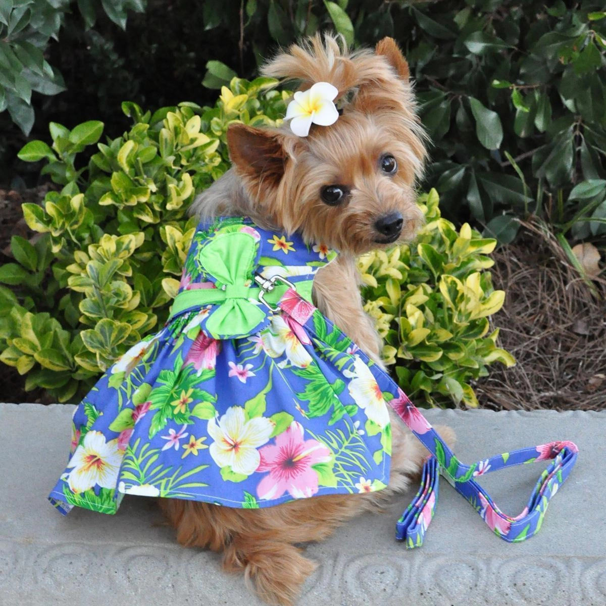 Blue Lagoon Hawaiian Hibiscus Dog Dress/Matching Leash XSmall