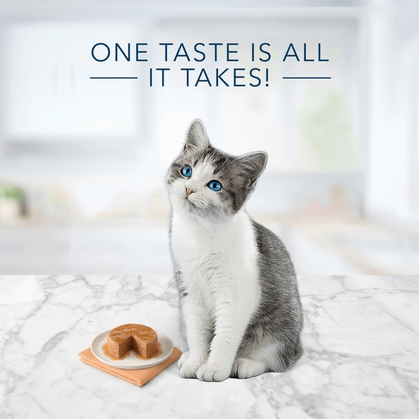 BLUE Tastefuls Chicken Entree Pate Pack for Kittens; 3 oz