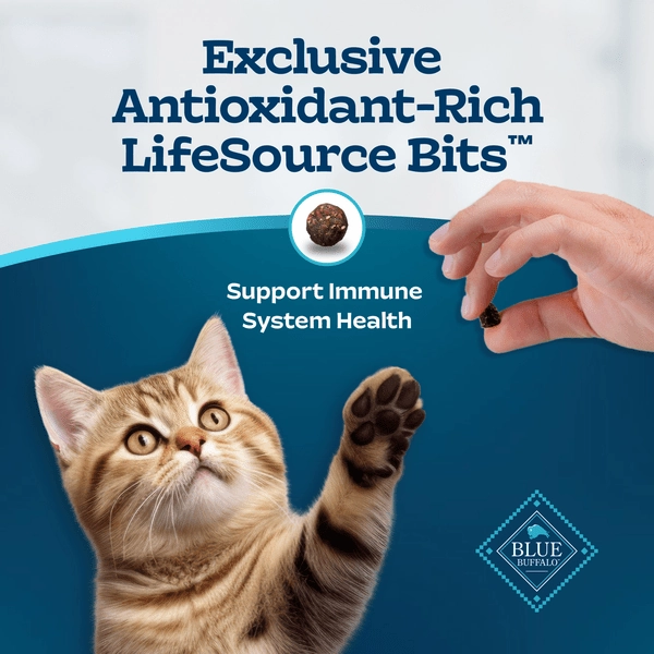 BLUE Tastefuls Healthy Aging Mature Chicken & Brown Rice Recipe Dry Cat Food, 7lb