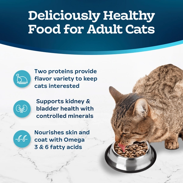 BLUE Tastefuls Multi-Protein Chicken & Turkey Cat Food Recipe Dry Cat Food, 7lb