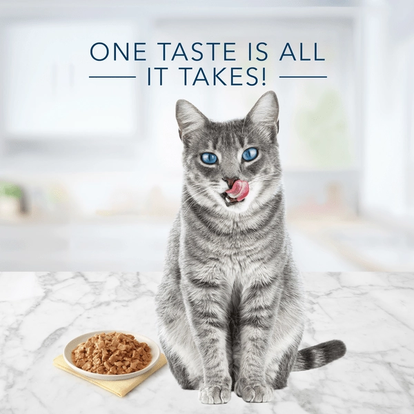 BLUE Tastefuls Salmon Entree Pate Canned Cat Food, 5.5oz