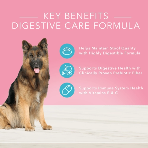 BLUE True Solutions Digestive Care Adult Canned Dog Food