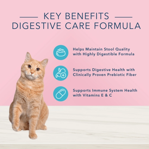 BLUE True Solutions Digestive Care Adult Dry Cat Food