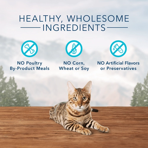 BLUE Wilderness Grain Free Crunchy Cat Treats; Tasty Salmon Flavor