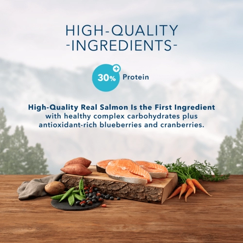 BLUE Wilderness Grain Free Salmon Recipe Dry Cat Food