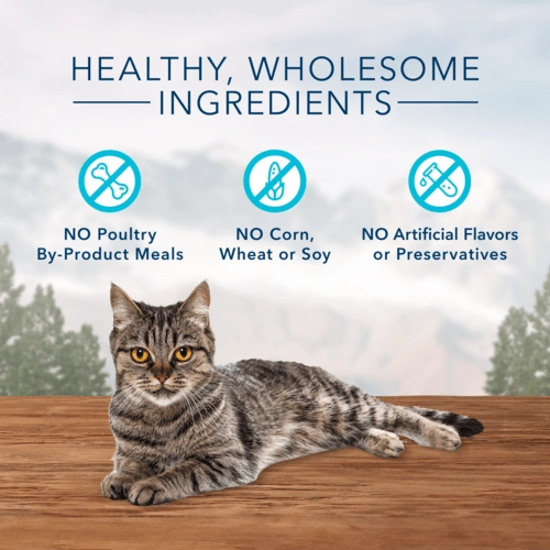 BLUE Wilderness Soft-Moist Cat Treats; Chicken & Duck