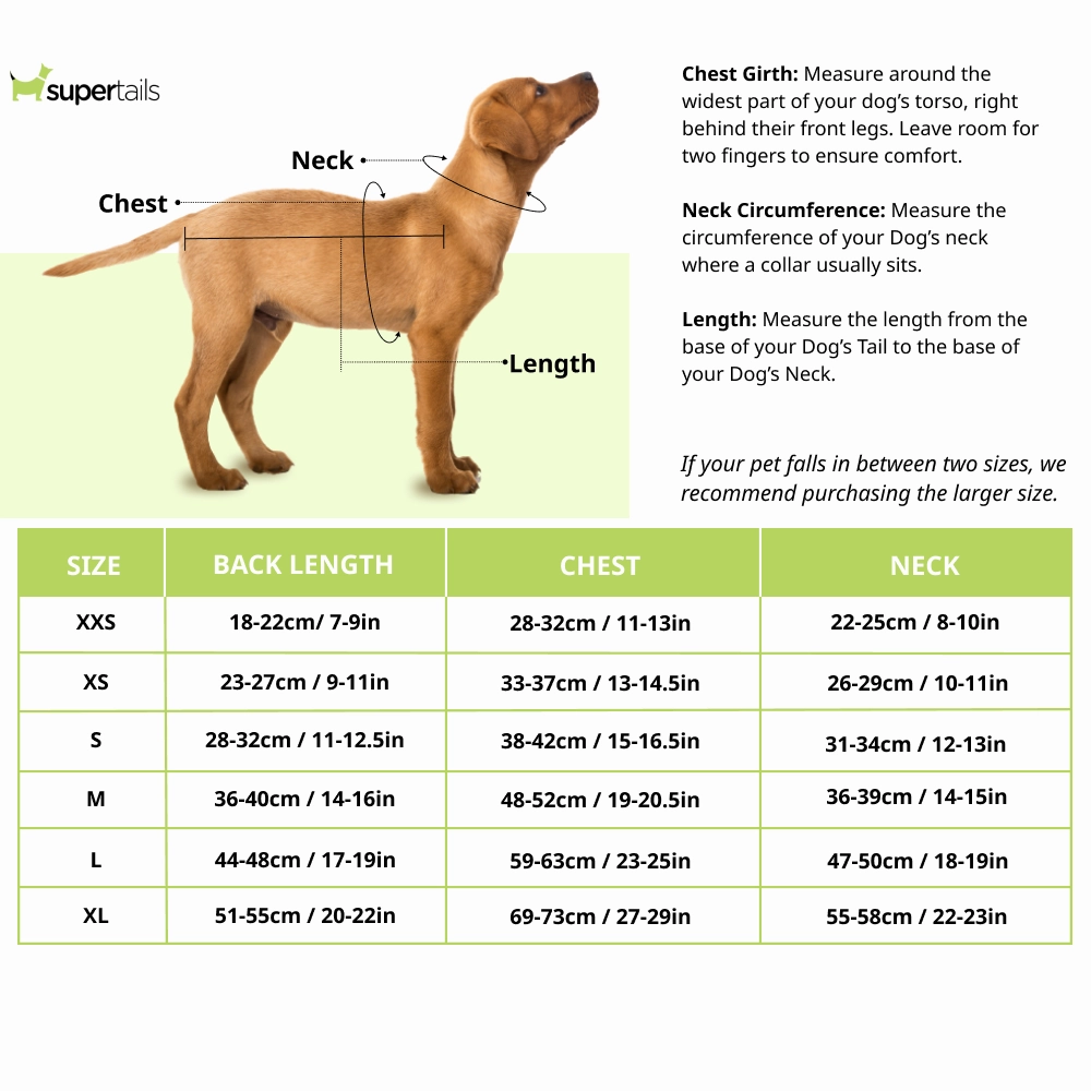 Boss Classic Polo Tshirt for Dogs (Bright White)