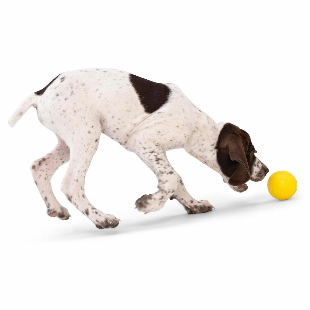 Boundr Dog Ball Toy