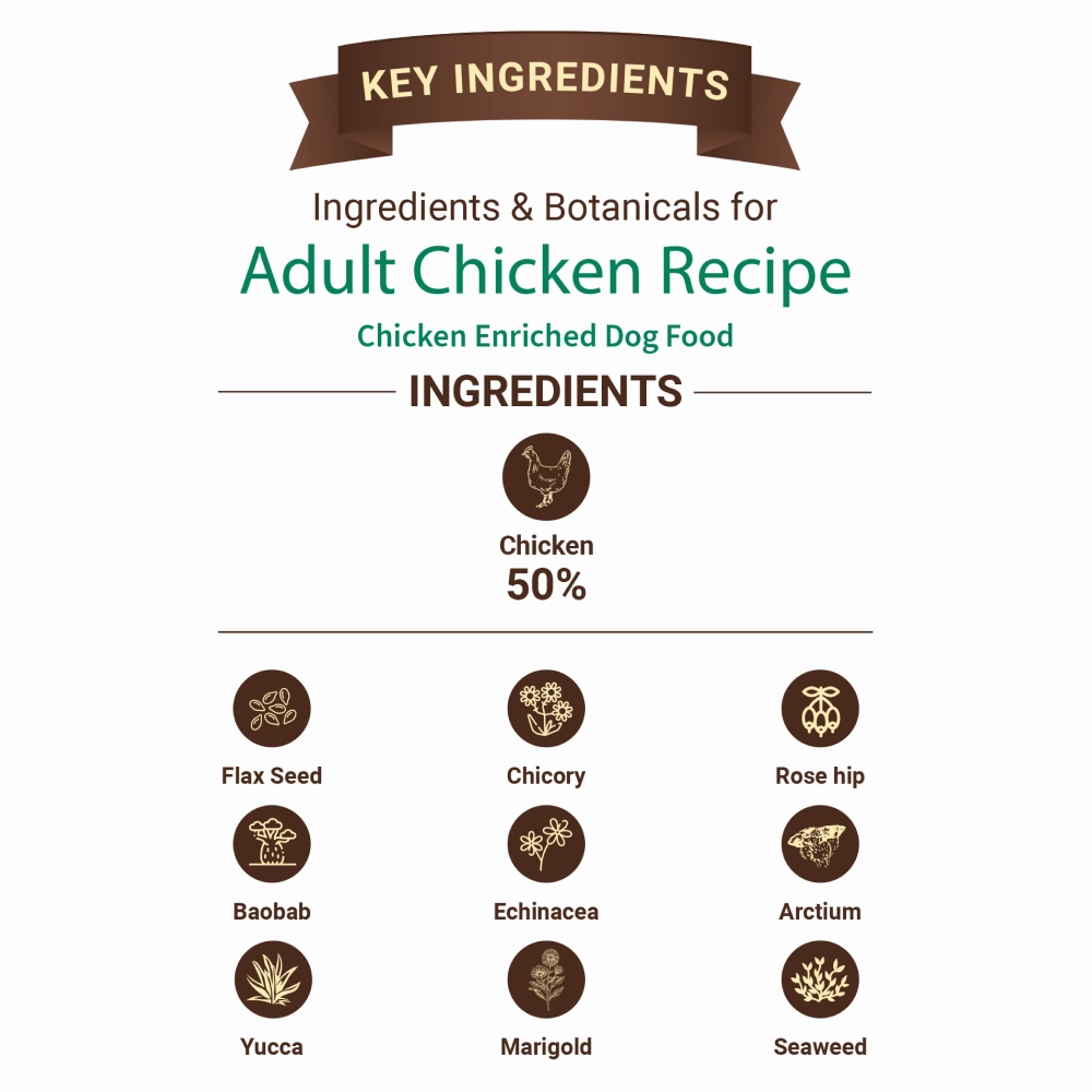 Bruno's Wild Essentials Chicken Recipe Adult Dog Dry Food