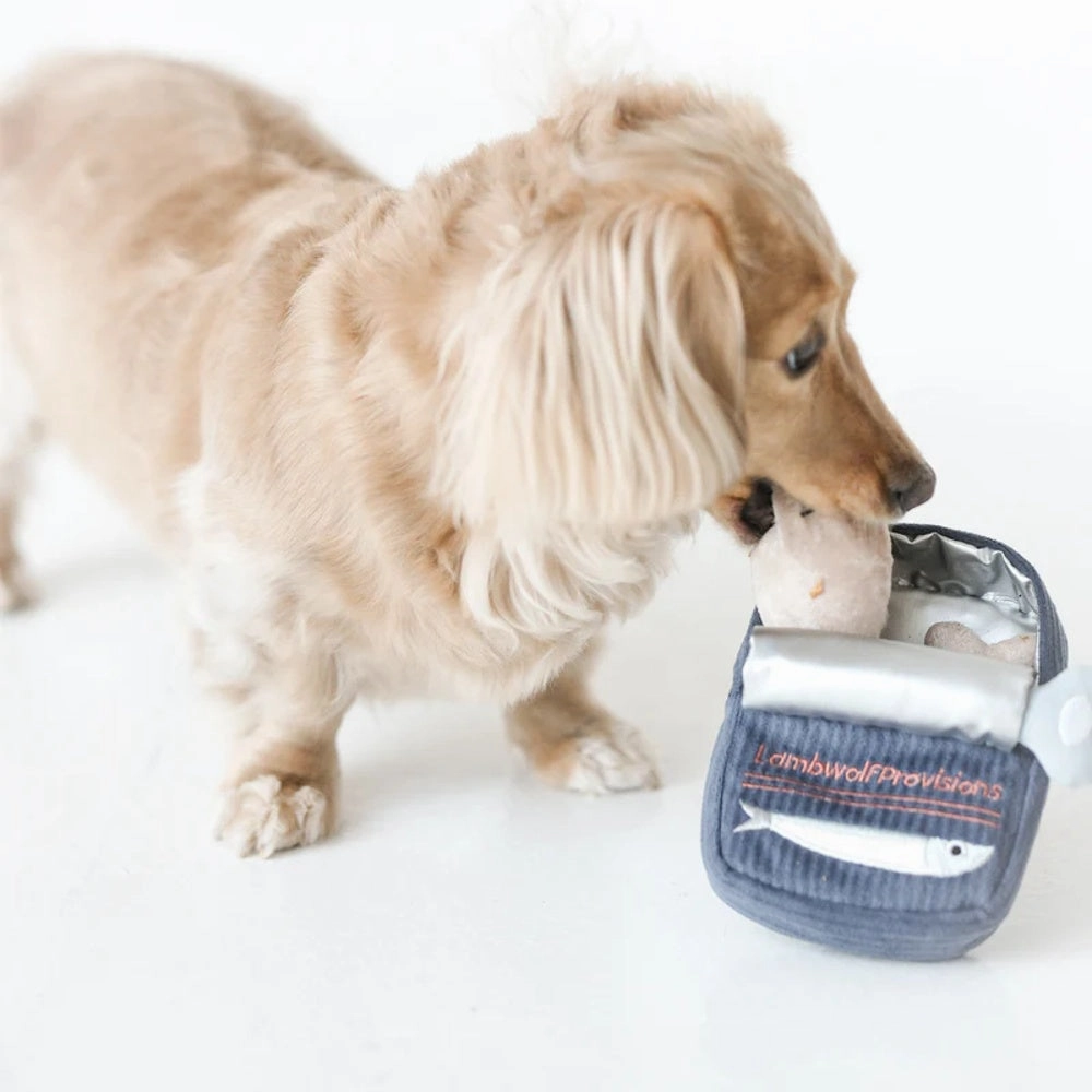 Burrow Sardines Dog Toy