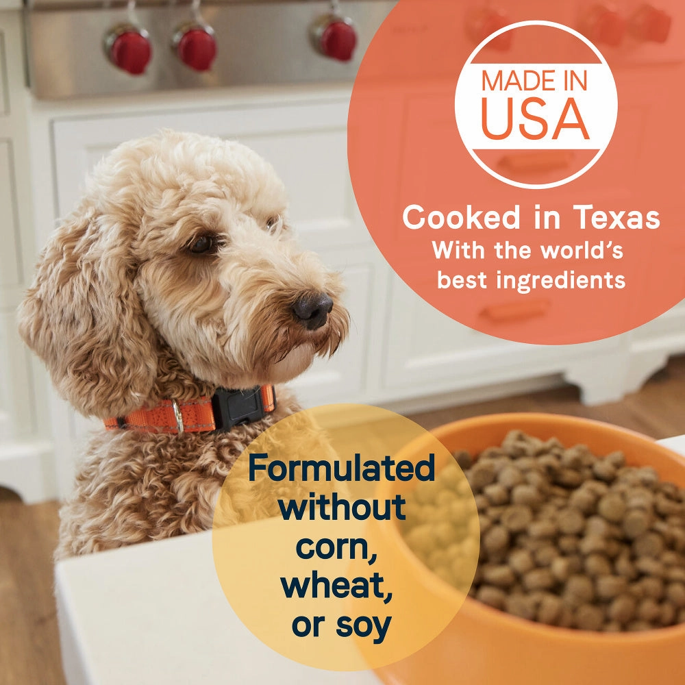 Canidae All Life Stages Lamb Meal and Brown Rice Formula Dry Dog Food