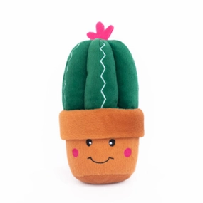 Carmen the Cactus