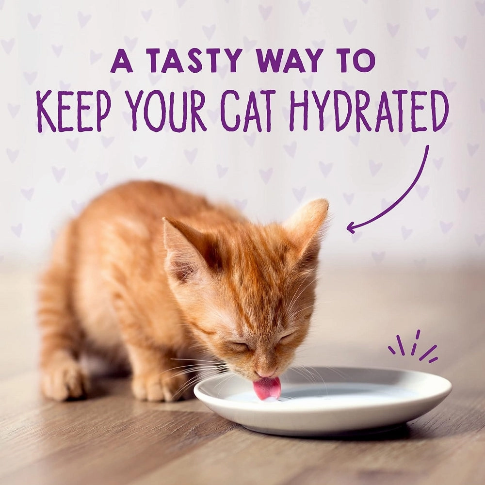 Carnivore Cravings  Kitten Chicken & Salmon 100% Complete Balance Diet Recipe Wet Cat Can